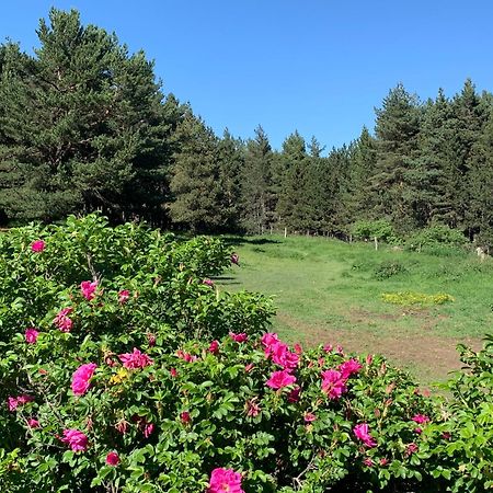 Gite Ranch Le Serpolet 레 장글 외부 사진