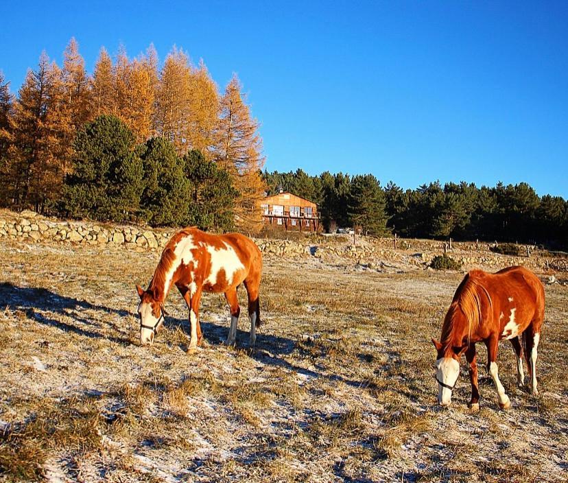 Gite Ranch Le Serpolet 레 장글 외부 사진
