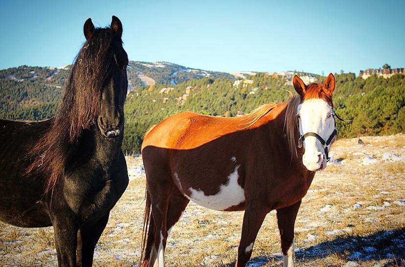 Gite Ranch Le Serpolet 레 장글 외부 사진