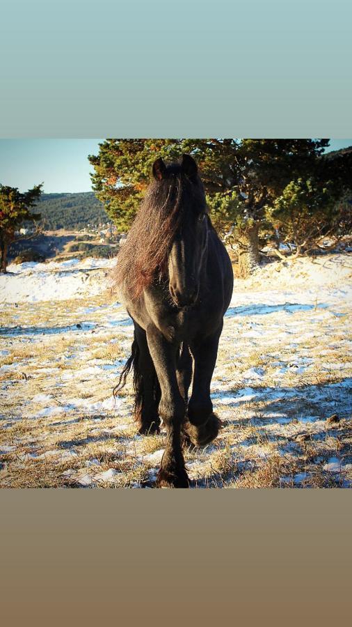 Gite Ranch Le Serpolet 레 장글 외부 사진