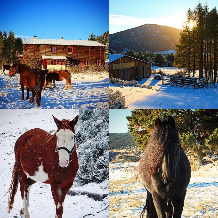 Gite Ranch Le Serpolet 레 장글 외부 사진