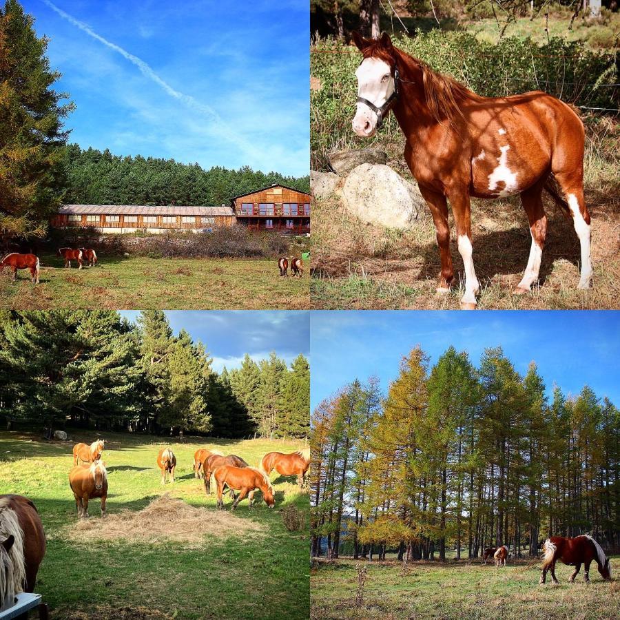 Gite Ranch Le Serpolet 레 장글 외부 사진