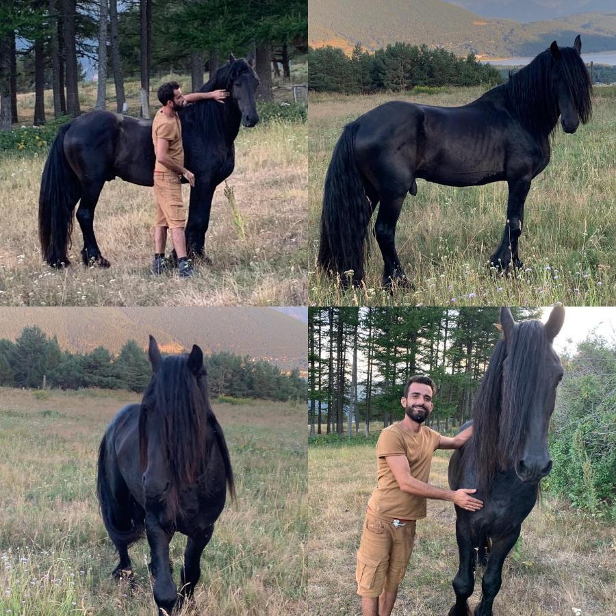 Gite Ranch Le Serpolet 레 장글 외부 사진