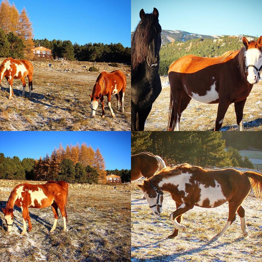 Gite Ranch Le Serpolet 레 장글 외부 사진