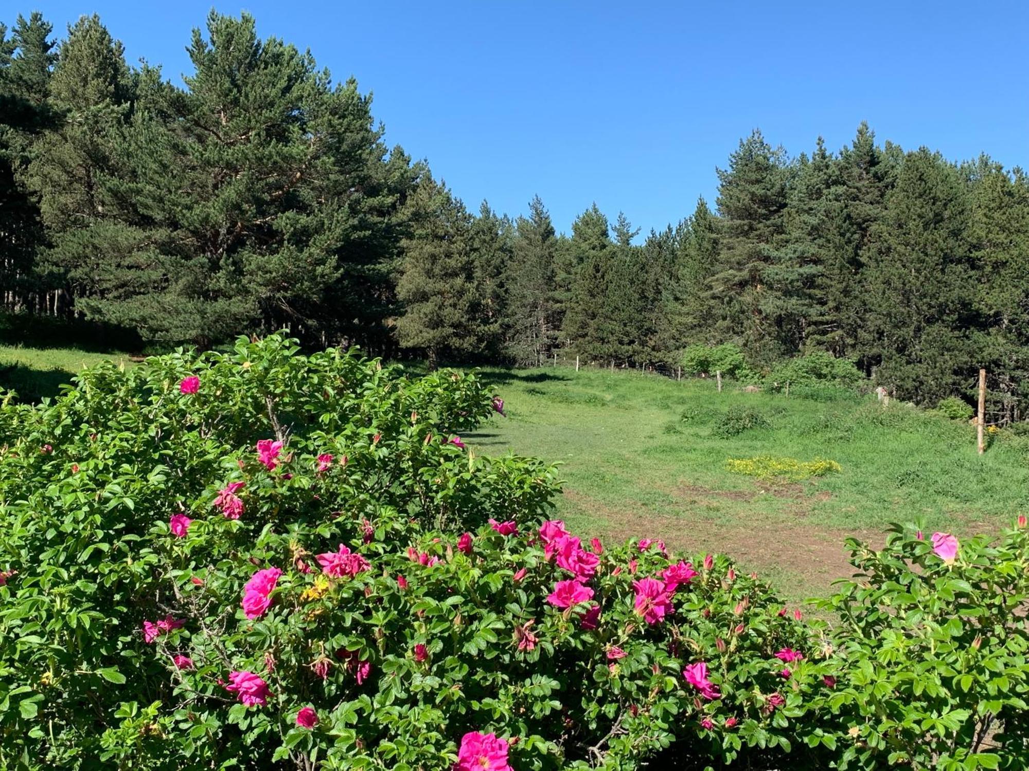 Gite Ranch Le Serpolet 레 장글 외부 사진