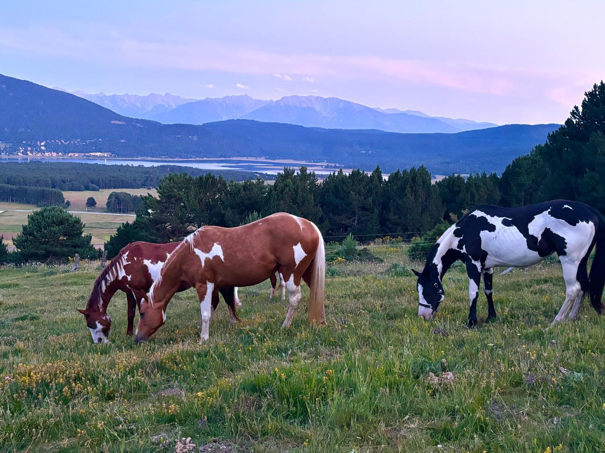 Gite Ranch Le Serpolet 레 장글 외부 사진